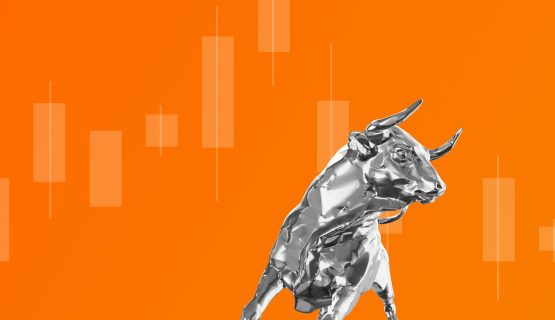 2021 bull