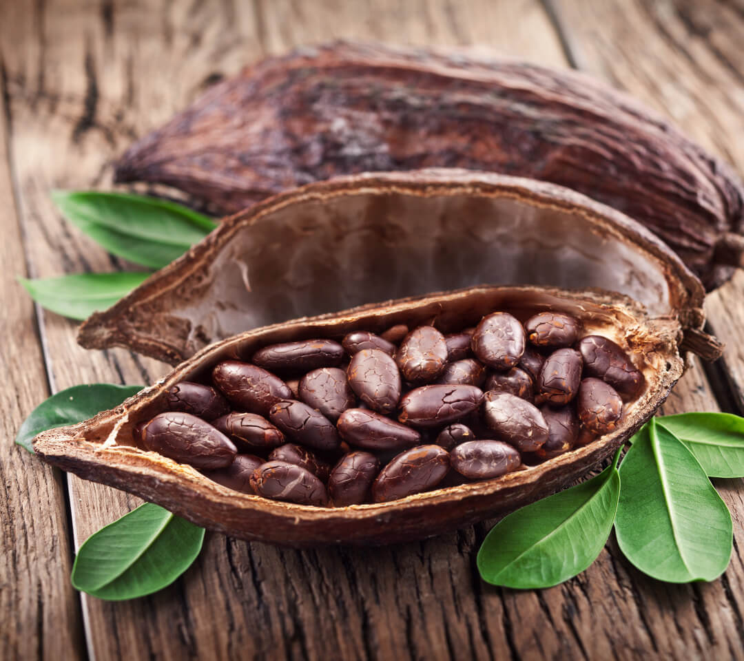 how to trade cacao